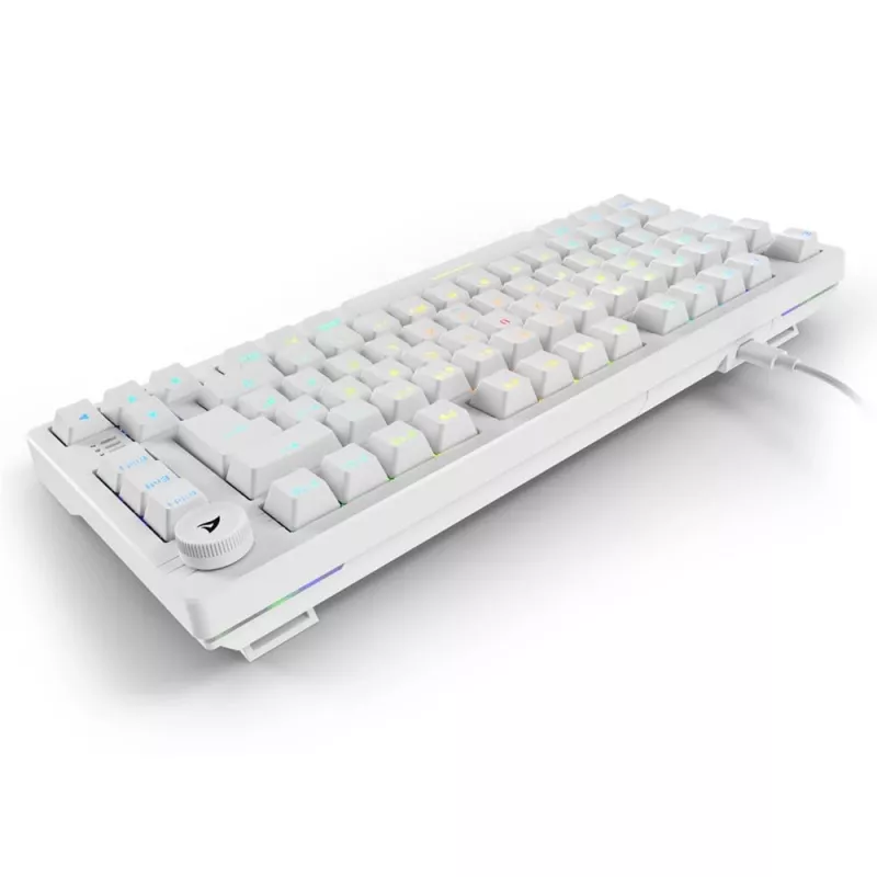Sharkoon SGK25 75% QWERTZ USB vadu klaviatūra ar RGB LED, balta