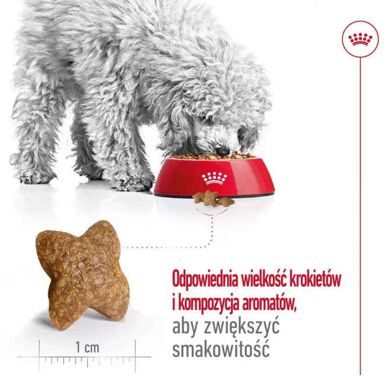 ROYAL CANIN Adult Mini S - sausā suņu barība - 4kg