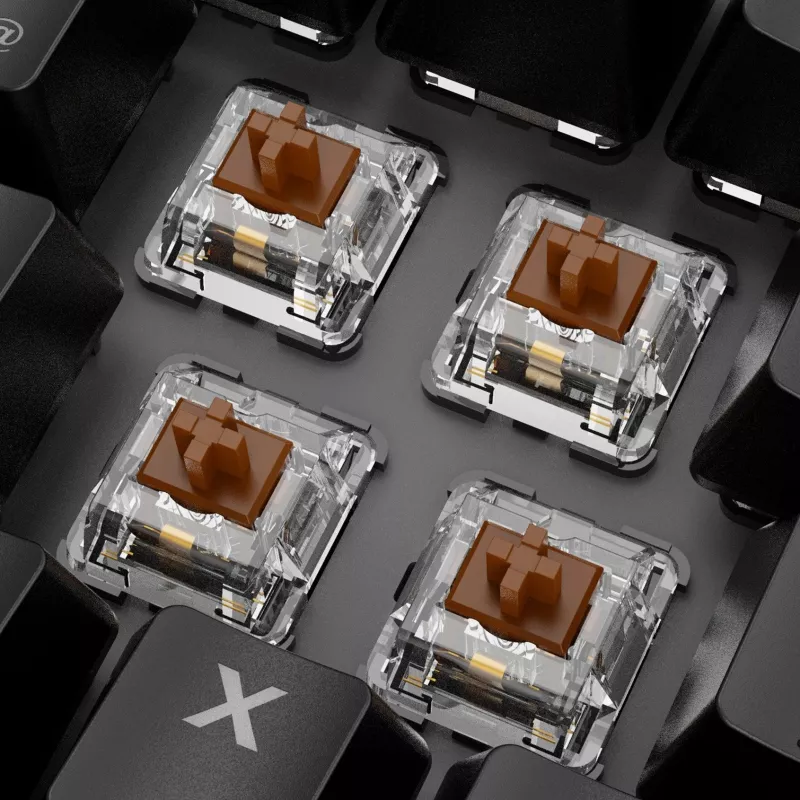 tastatūra Sharkoon SKILLER SGK20 Brown