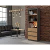Biroja grāmatu skapis top e shop RS-60 ANT/ART KPL — 3 plaukti, skaidu plāksne, 600×350×1800 mm