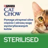 PURINA Cat Chow Sterilised Gig Chicken with Eggplant - mitrs kaķu barības 85 g
