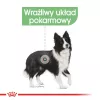 ROYAL CANIN CCN Medium Digestive Care - sausa suņu barība - 3 kg