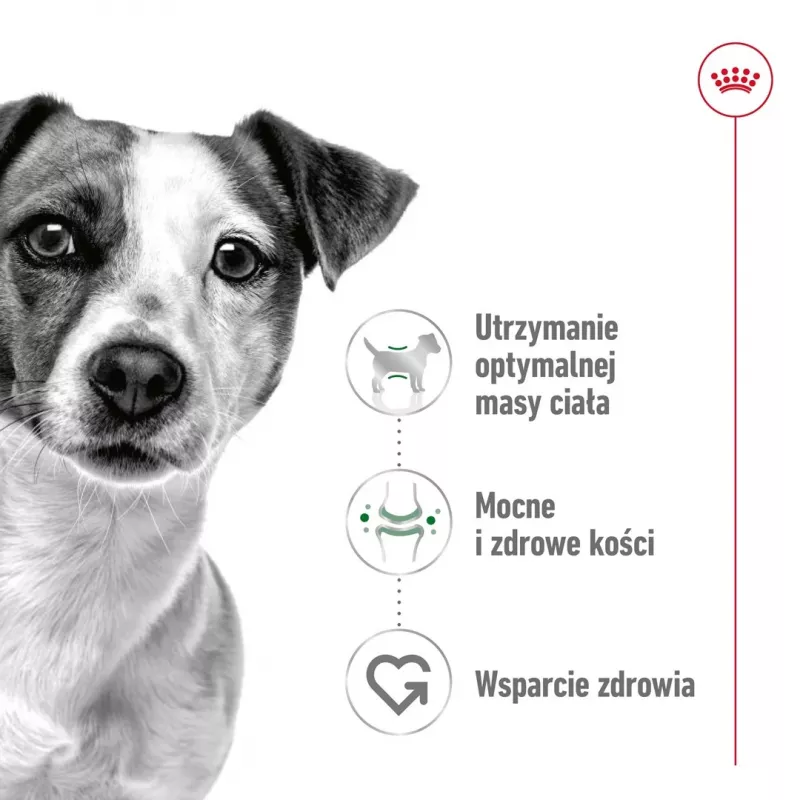Mitrā suņu barība Royal Canin Mini Adult paciņa 85 g, putnu gaļa, mazām šķirnēm 5–10 kg, 12 × 85 g iepakojums