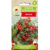 Bajaja Cherry Tomato Toraf dārzeņu sēklas, 0,3 g iepakojums