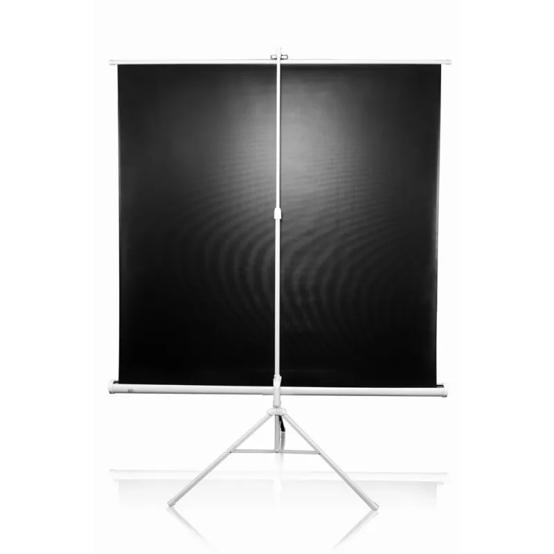 Statīva projekcijas ekrāns Elite Screens T113NWS1 2,87 m 1:1