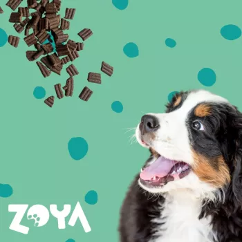 ZOYA ColdPRO Deer - sausā suņu barība - 1kg