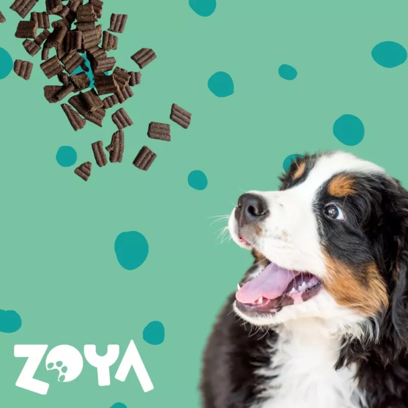 ZOYA ColdPRO Deer - sausā suņu barība - 1kg