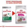 Royal Canin CCN MINI EXIGENT - sausā barība pieaugušiem suņiem - 3kg