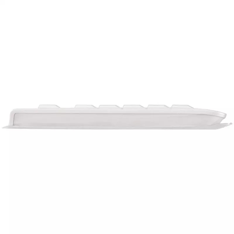 CHERRY KC 1068 tastatūra USB Šveices pelēka