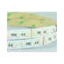 Synergy 21 LED Flex Strip 5050 - 84 RGB DC24V + RGB-WW (RGB-CCT) viena mikroshēma HD IP20