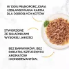 PURINA Gourmet Gold Succulent Delights okeāna zivs — mitrā kaķu barība — 85g