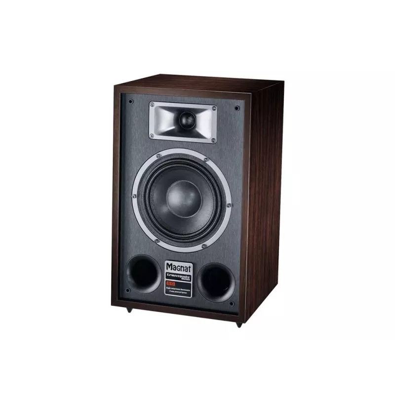 Grīdas kolonna Magnat TRANSPULS 800A 2-ceļu vadu un bezvadu 2×60 W, Bluetooth 5.0, HDMI, melna/brūna