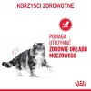 Mitrā kaķu barība Royal Canin Urinary Care pieaugušiem kaķiem, mājputnu gaļa, 85 g paciņa (12 iepakojumi)