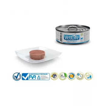 FARMINA Vet Life Hypoallergenic Pork & Potato - slapjā kaķu barība - 85 g