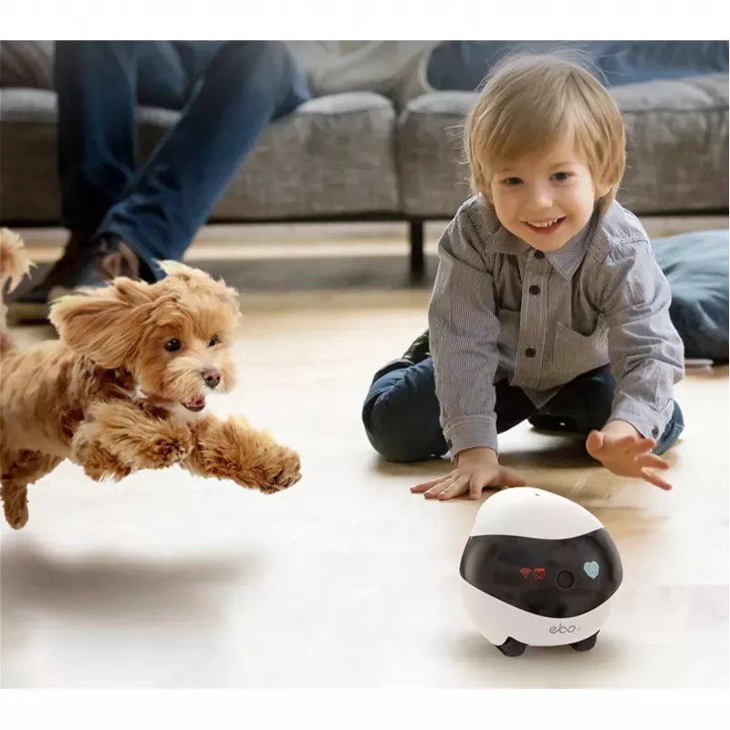 Enabot EBO SE Robotu IP kamera kompakta N/A MP N/A 16GB ārējā atmiņa, atbalsta līdz 256GB