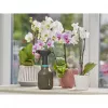 Rokas smidzinātājs Gardena 11110-20 0,75 L melns