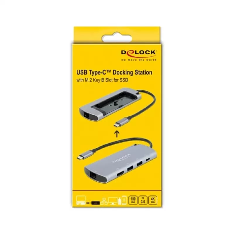 Docking Station DeLOCK USB Type-C Docking Station with M.2 Slot
