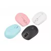 NATEC STORK pele mājām piemērota abām rokām RF bezvadu + USB-A optiskā 1600 DPI