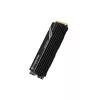 Transcend SSD diskdzinis 1TB M.2 2280 PCIe Gen4x4 NVMe ar DRAM un metāla radiatoru