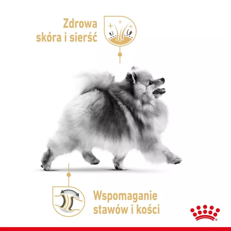 Sausā suņu barība Royal Canin Pomeranian Adult 3 kg — mazšķirnes formula pieaugušiem Pomerānijas špicam