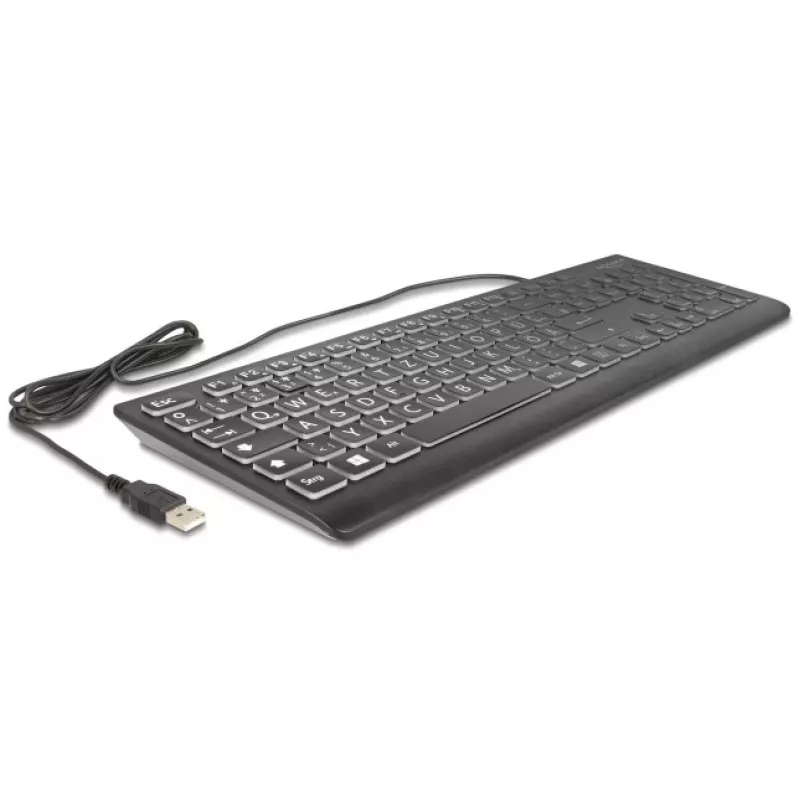 DeLOCK 12170 klaviatūra Universāla USB QWERTZ vācu melna mehāniska RGB