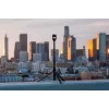 Selfie Stick DJI 111158 Melns 160 cm Saderīga with DJI Cameras