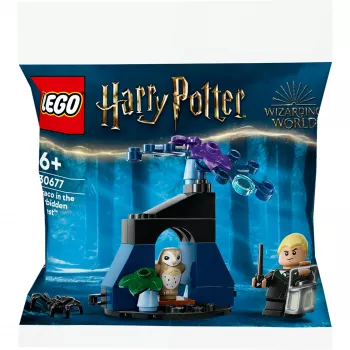 LEGO Harry Potter konstruktora komplekts 30677 – Drako Aizliegtajā mežā minifigūras aina