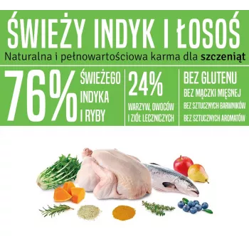 ARQUIVET Fresh Puppy Turkey and Salmon - pusmitrs suņu barības produkts - 10kg