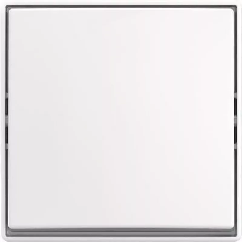 BUSCH JAEGER svirslēdzis AP 2601/6 J-524 (2TKA00005521)