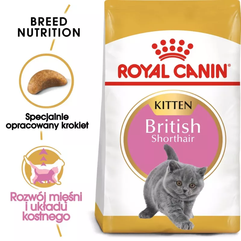 Sausā kaķu barība Royal Canin British Shorthair Kitten 2 kg – vista, 38% olbaltumvielu, 20% tauku, augšanas formula