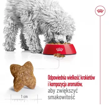 Sausā suņu barība Royal Canin Adult Mini S 8 kg — pilnvērtīgs uzturs maziem pieaugušiem suņiem