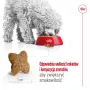 Sausā suņu barība Royal Canin Adult Mini S 8 kg — pilnvērtīgs uzturs maziem pieaugušiem suņiem