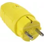 As Schwabe 62403 dzeltena