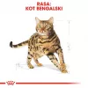 Sausā kaķu barība Royal Canin Bengal Adult 10 kg — vista, 40% olbaltumvielu, 18% tauku