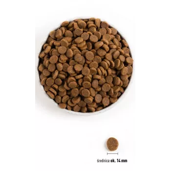 ACANA Senior - sausā suņu barība - 11,4kg