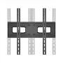 TV kronšteins 21-75 inch 50kg, MC-788
