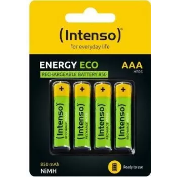 Intenso 7505114 Baterija
