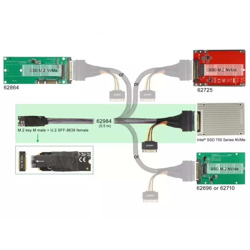 DeLOCK M.2 Key M uz U.2 SFF-8639 NVMe adapters ar 50 cm kabeli