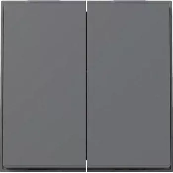 GIRA rokturis 2f TX_44 WG UP 329567Anthrazit (329567)