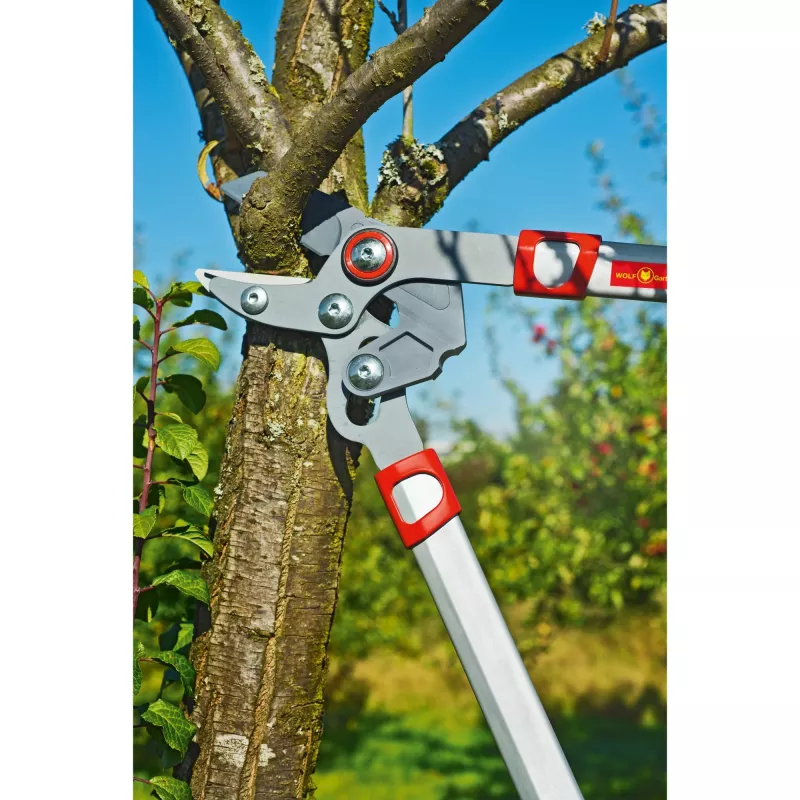 Zaru šķēres WOLF-Garten POWER CUT RS 650 BASIC PLUS