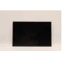 Lenovo 5D10V82406 16.0 collu LCD displejs (AUO B160UAN03.2)