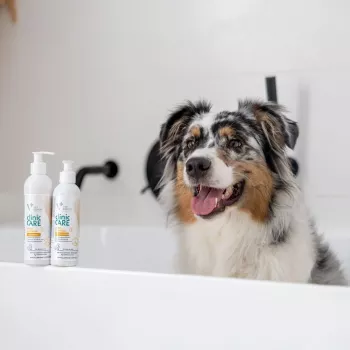 Šampūns mājdzīvniekiem VETEXPERT Clinic Care Hypo&Omega 250 ml — hipoalerģisks mitrinošs šampūns ar omega taukskābēm pieaugušiem kaķiem, visiem apmatojuma tipiem