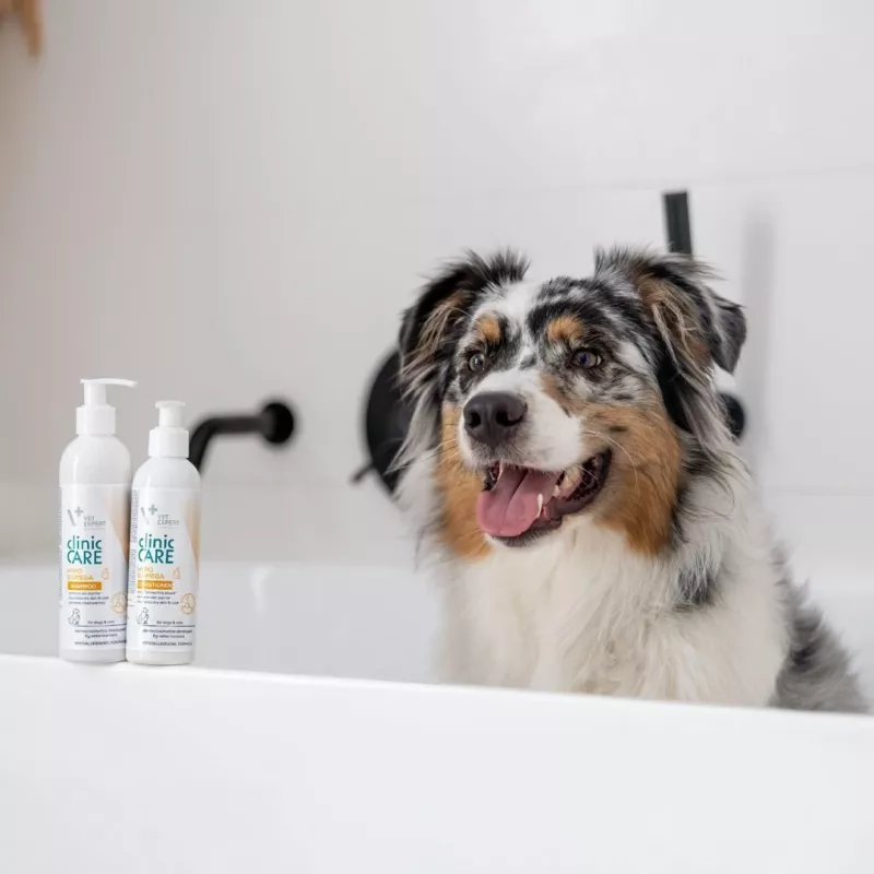 Šampūns mājdzīvniekiem VETEXPERT Clinic Care Hypo&Omega 250 ml — hipoalerģisks mitrinošs šampūns ar omega taukskābēm pieaugušiem kaķiem, visiem apmatojuma tipiem