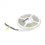 Synergy 21 LED Flex Strip 5050 - 60 RGB DC24V + RGB-W vienā mikroshēmā SWW IP65