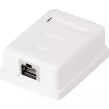 Tīkla kontaktligzda Renkforce CAT 6 1 pieslēgvieta, balta
