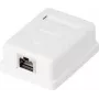 Tīkla kontaktligzda Renkforce CAT 6 1 pieslēgvieta, balta