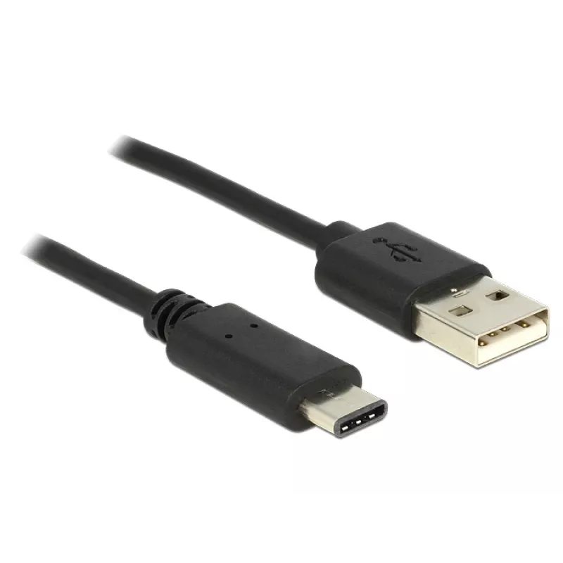 USB kabelis DeLOCK 0,5 m USB2.0-A USB2.0-C