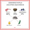PUPIL Premium All Meat Gold jēra segliņš - mitrā suņu barība - 800g