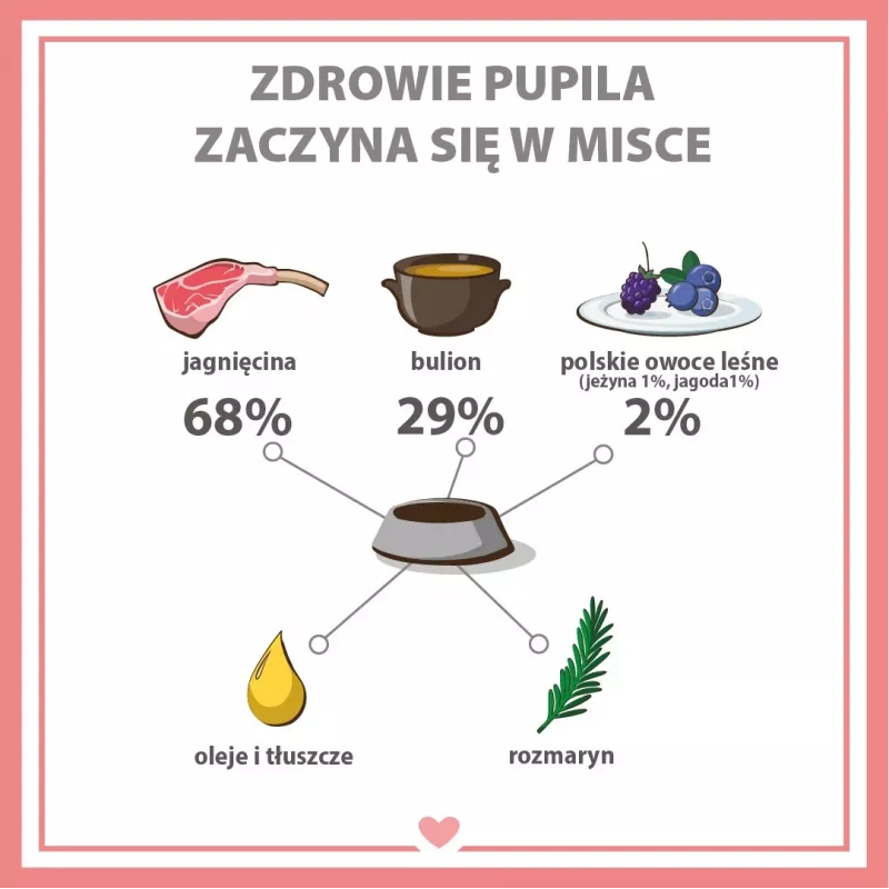 PUPIL Premium All Meat Gold jēra segliņš - mitrā suņu barība - 800g