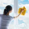 Frischer stikla tīrīšanas līdzeklis ar pretapmiglošanas funkciju 1 l